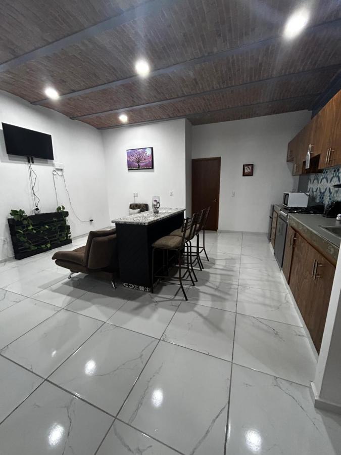 Appartement Departamentos Colibri Y Tortuga à Chapala Extérieur photo