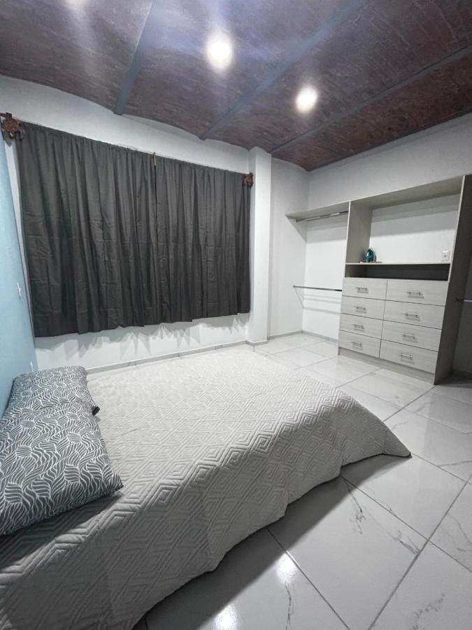 Appartement Departamentos Colibri Y Tortuga à Chapala Extérieur photo